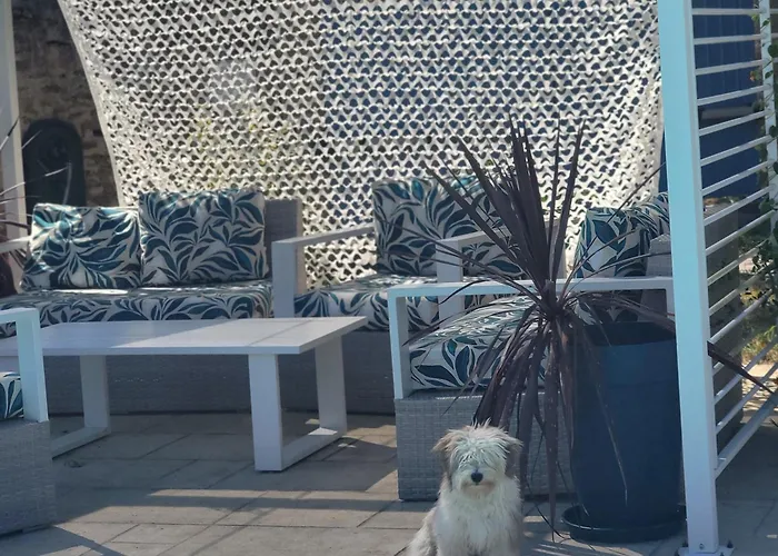 Bed & Breakfast En Pleine Campagne, Proche Du Mans - D'hotes